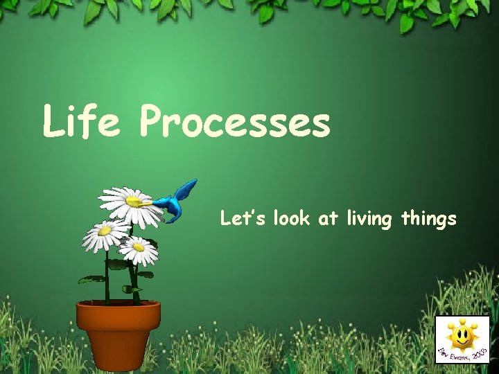 Life Processes Let’s look at living things 