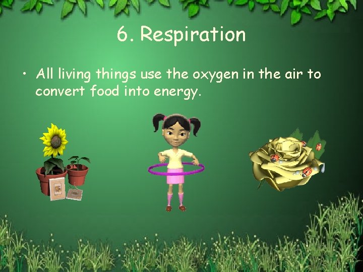 6. Respiration • All living things use the oxygen in the air to convert