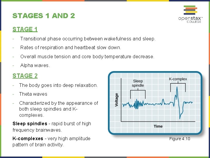 STAGES 1 AND 2 STAGE 1 - Transitional phase occurring between wakefulness and sleep.