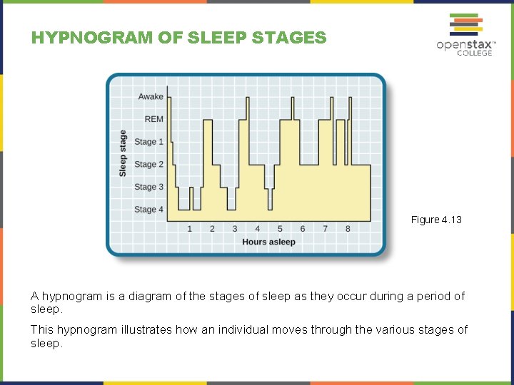 HYPNOGRAM OF SLEEP STAGES Figure 4. 13 A hypnogram is a diagram of the