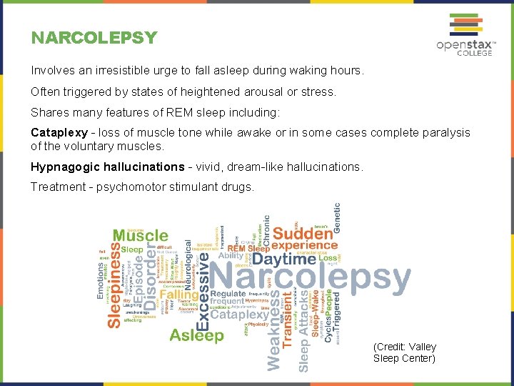 NARCOLEPSY Involves an irresistible urge to fall asleep during waking hours. Often triggered by