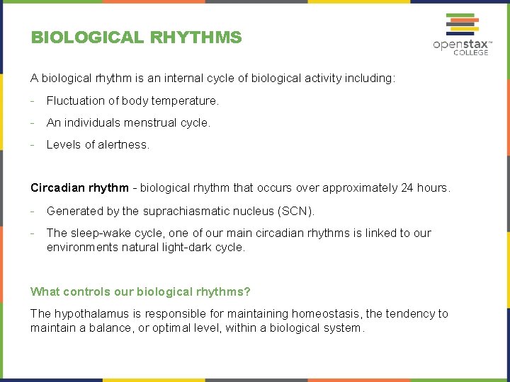 BIOLOGICAL RHYTHMS A biological rhythm is an internal cycle of biological activity including: -