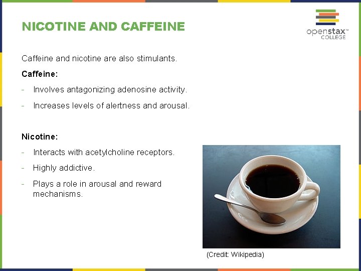 NICOTINE AND CAFFEINE Caffeine and nicotine are also stimulants. Caffeine: - Involves antagonizing adenosine