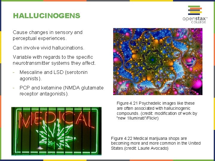 HALLUCINOGENS Cause changes in sensory and perceptual experiences. Can involve vivid hallucinations. Variable with