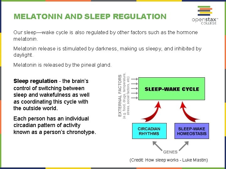 MELATONIN AND SLEEP REGULATION Our sleep—wake cycle is also regulated by other factors such