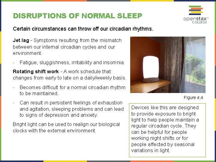 DISRUPTIONS OF NORMAL SLEEP Certain circumstances can throw off our circadian rhythms. Jet lag