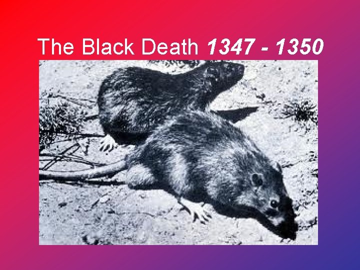 The Black Death 1347 - 1350 