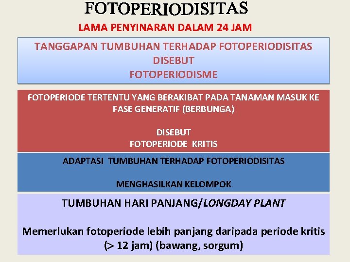 LAMA PENYINARAN DALAM 24 JAM TANGGAPAN TUMBUHAN TERHADAP FOTOPERIODISITAS DISEBUT FOTOPERIODISME FOTOPERIODE TERTENTU YANG