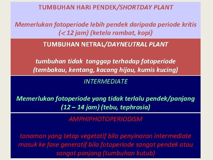 TUMBUHAN HARI PENDEK/SHORTDAY PLANT Memerlukan fotoperiode lebih pendek daripada periode kritis ( 12 jam)