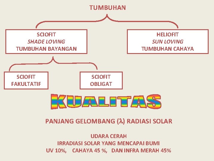 TUMBUHAN SCIOFIT SHADE LOVING TUMBUHAN BAYANGAN SCIOFIT FAKULTATIF HELIOFIT SUN LOVING TUMBUHAN CAHAYA SCIOFIT