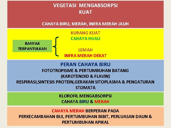 VEGETASI MENGABSORPSI KUAT CAHAYA BIRU, MERAH, INFRA MERAH JAUH BANYAK TERPANTULKAN KURANG KUAT CAHAYA