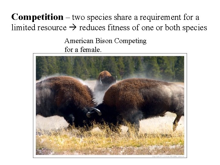 Competition – two species share a requirement for a limited resource reduces fitness of Competition – two species share a requirement for a limited resource reduces fitness of