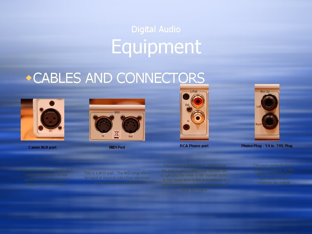 Digital Audio Equipment w. CABLES AND CONNECTORS Canon XLR port This port is used