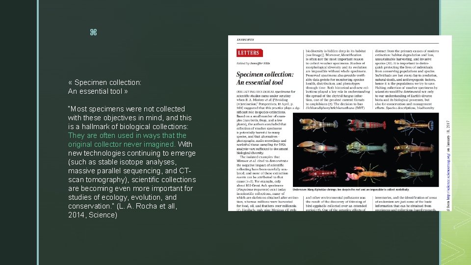 z « Specimen collection: An essential tool » “Most specimens were not collected with