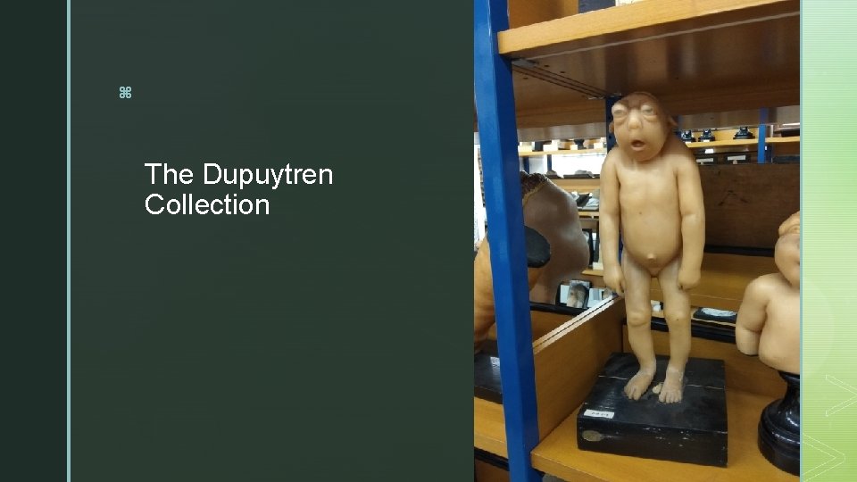 z The Dupuytren Collection 