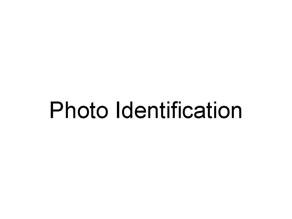 Photo Identification 