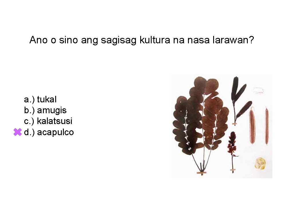 Ano o sino ang sagisag kultura na nasa larawan? a. ) tukal b. )