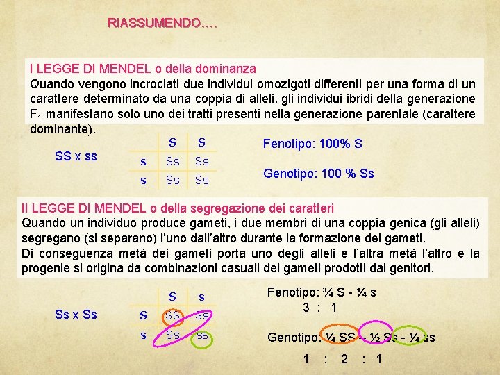 RIASSUMENDO…. I LEGGE DI MENDEL o della dominanza Quando vengono incrociati due individui omozigoti