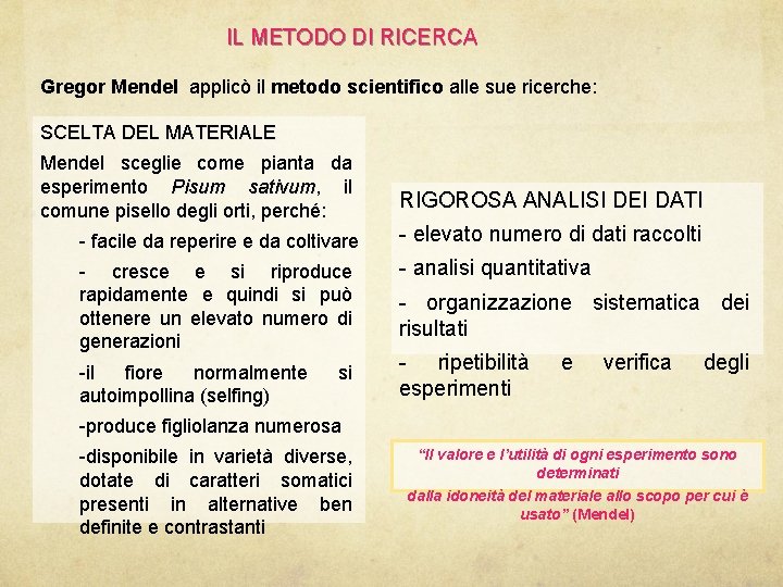 IL METODO DI RICERCA Gregor Mendel applicò il metodo scientifico alle sue ricerche: SCELTA