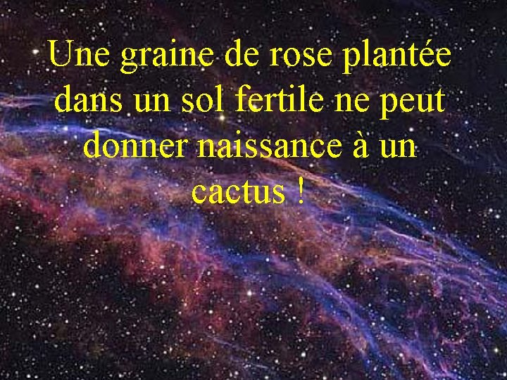 Une graine de rose plantée dans un sol fertile ne peut donner naissance à