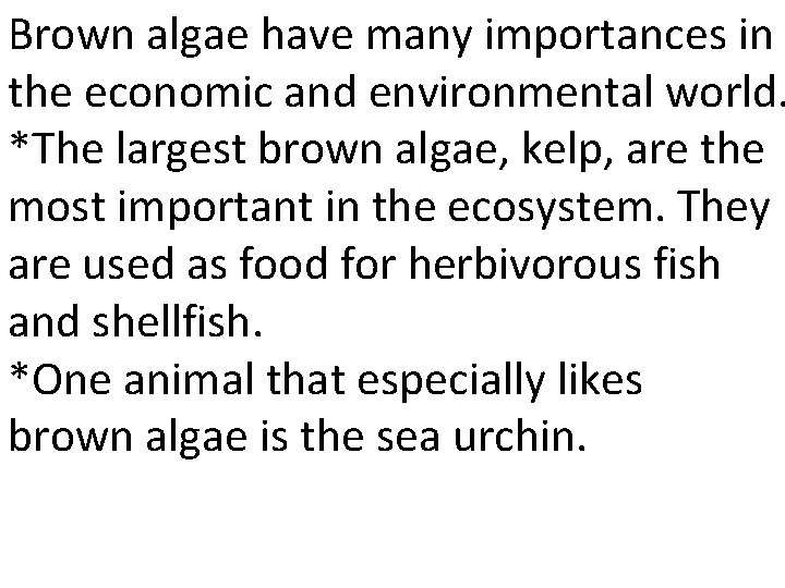 Brown algae have many importances in the economic and environmental world. *The largest brown