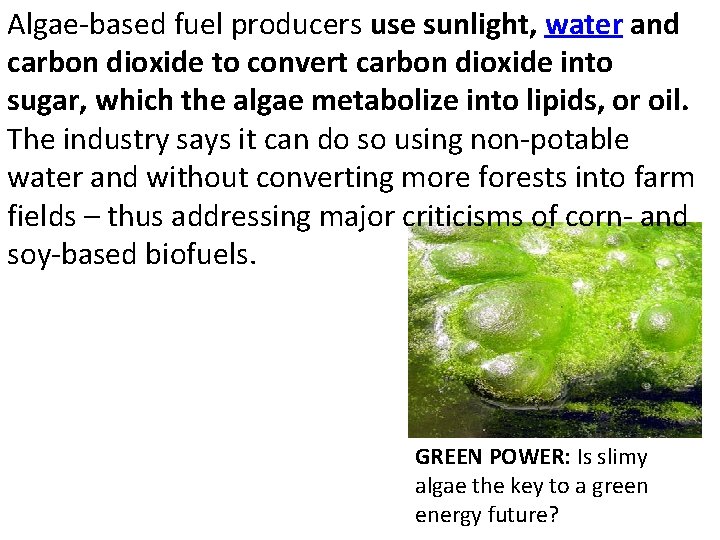 Algae-based fuel producers use sunlight, water and carbon dioxide to convert carbon dioxide into
