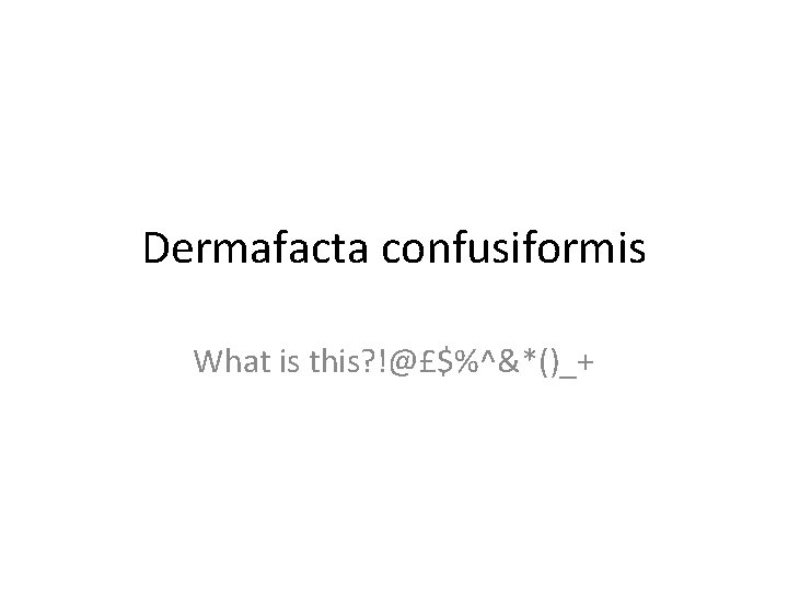 Dermafacta confusiformis What is this? !@£$%^&*()_+ 