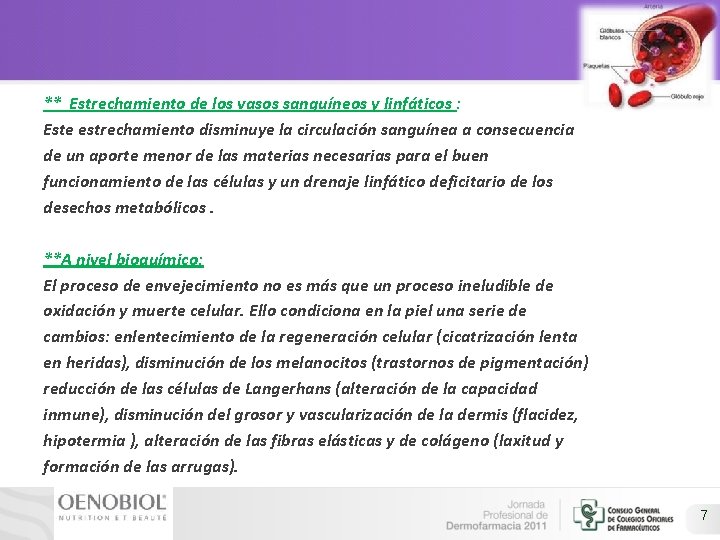 ** Estrechamiento de los vasos sanguíneos y linfáticos : Este estrechamiento disminuye la circulación