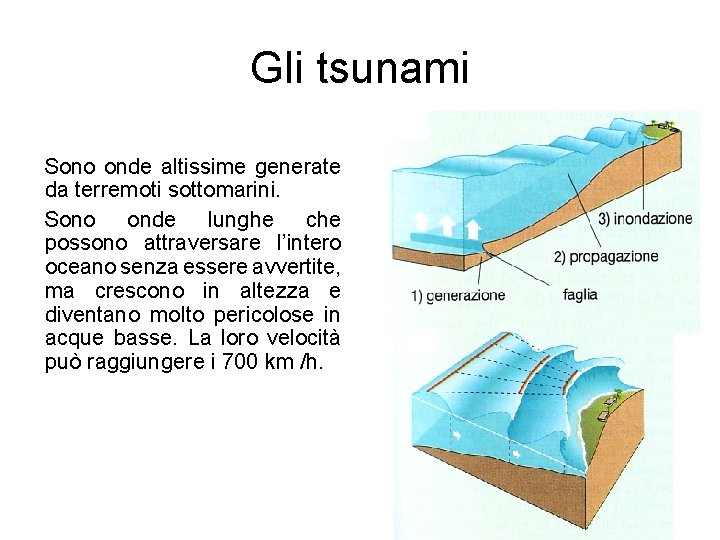 Gli tsunami Sono onde altissime generate da terremoti sottomarini. Sono onde lunghe che possono