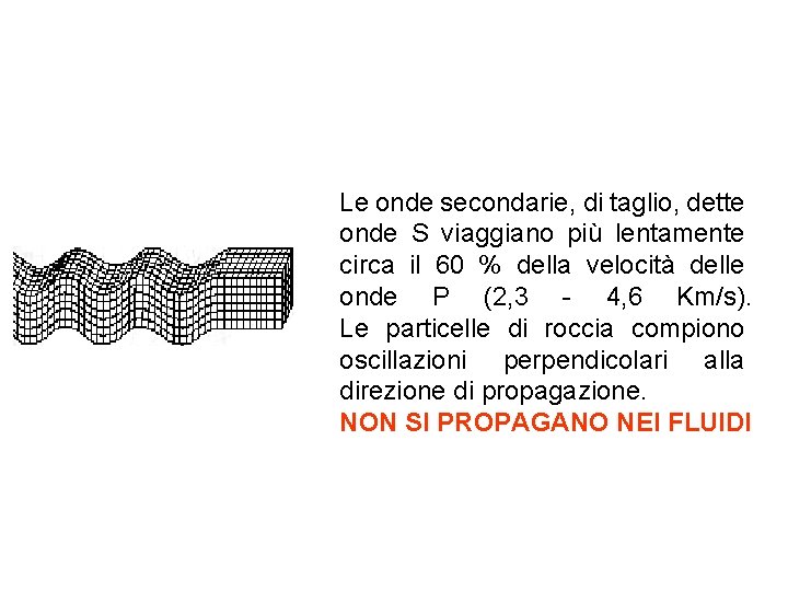 Le onde secondarie, di taglio, dette onde S viaggiano più lentamente circa il 60