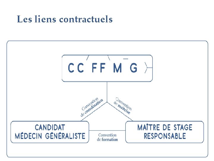 Les liens contractuels 