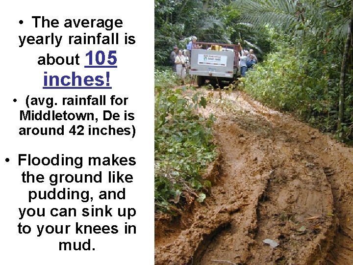 • The average yearly rainfall is about 105 inches! • (avg. rainfall for • The average yearly rainfall is about 105 inches! • (avg. rainfall for