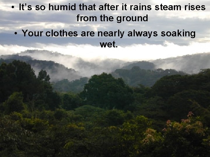 • It’s so humid that after it rains steam rises from the ground • It’s so humid that after it rains steam rises from the ground