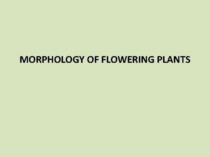 MORPHOLOGY OF FLOWERING PLANTS 