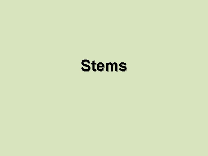 Stems 