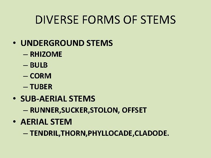 DIVERSE FORMS OF STEMS • UNDERGROUND STEMS – RHIZOME – BULB – CORM –