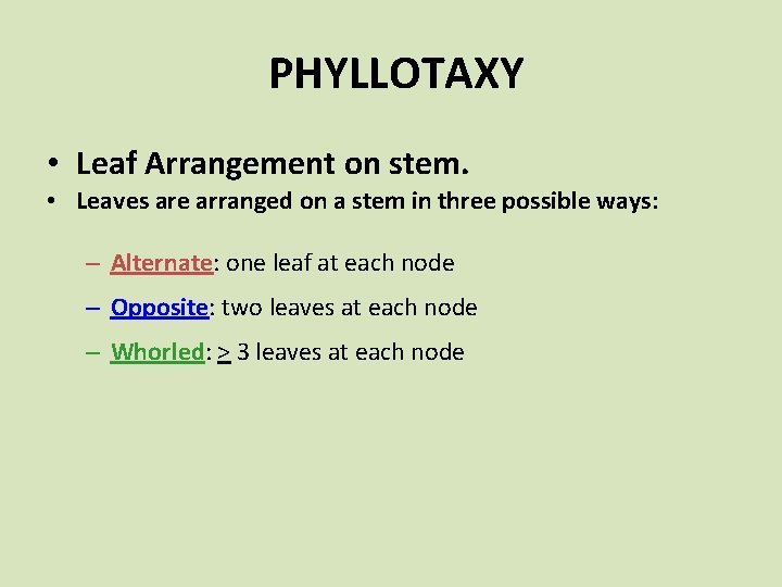 PHYLLOTAXY • Leaf Arrangement on stem. • Leaves are arranged on a stem in