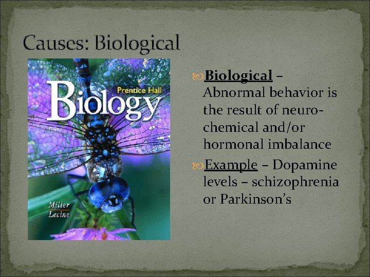 Causes: Biological – Abnormal behavior is the result of neurochemical and/or hormonal imbalance Example