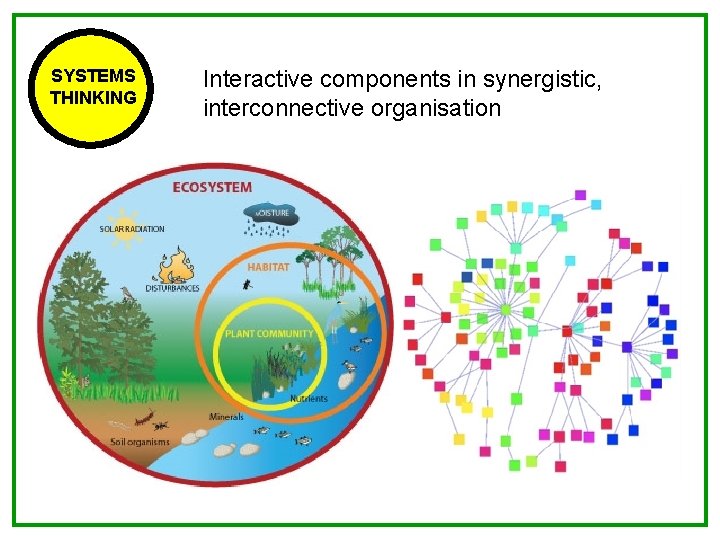 SYSTEMS ETHICS PRINCIPLES THINKING Interactive components in synergistic, interconnective organisation 