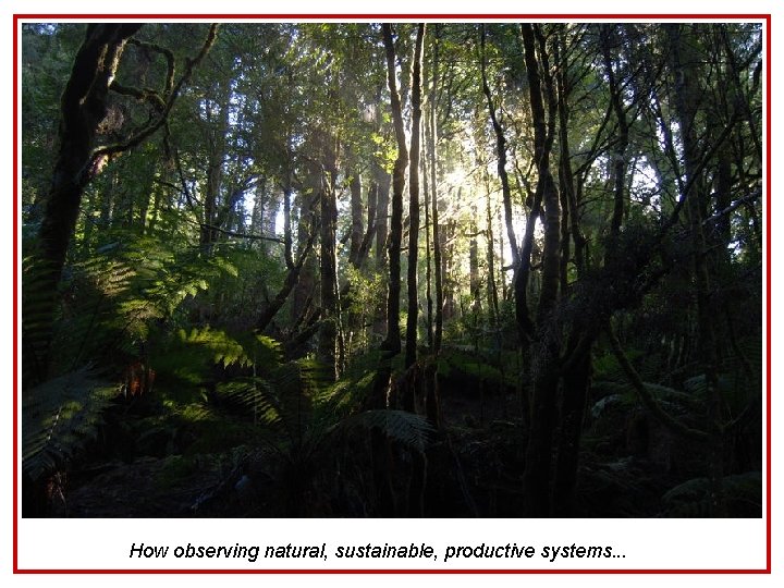 How observing natural, sustainable, productive systems. . . 