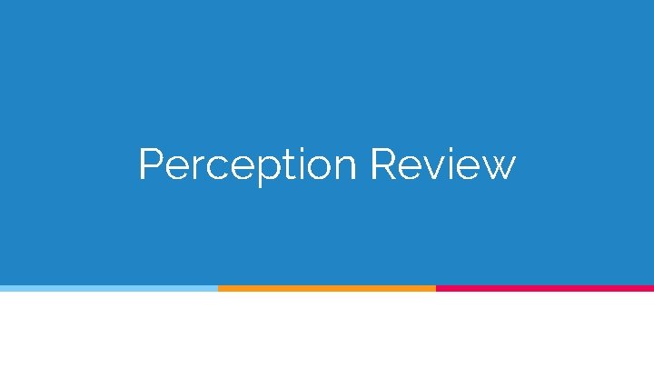 Perception Review 