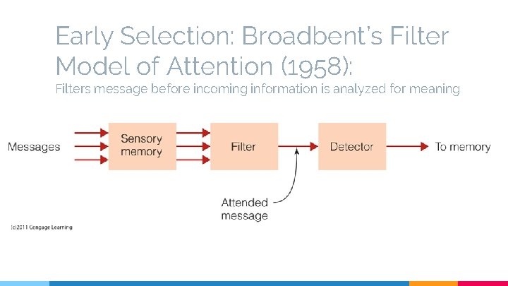 Early Selection: Broadbent’s Filter Model of Attention (1958): Filters message before incoming information is