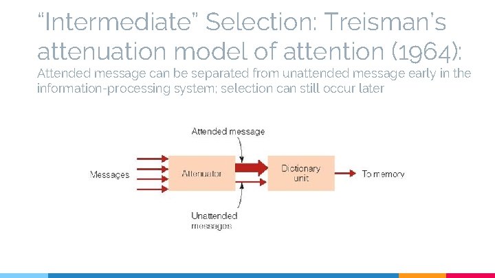 “Intermediate” Selection: Treisman’s attenuation model of attention (1964): Attended message can be separated from