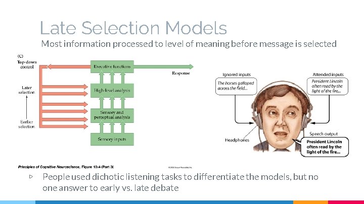 Late Selection Models Most information processed to level of meaning before message is selected