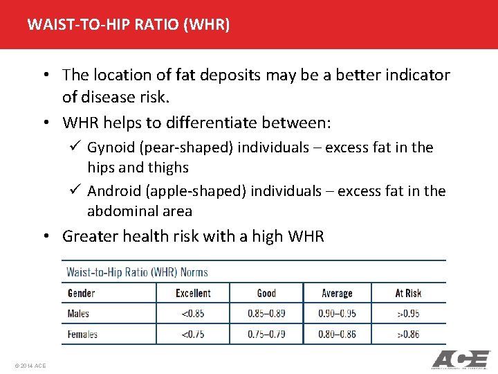 WAIST-TO-HIP RATIO (WHR) • The location of fat deposits may be a better indicator