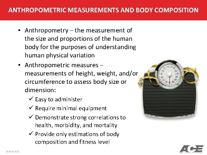 ANTHROPOMETRIC MEASUREMENTS AND BODY COMPOSITION • Anthropometry – the measurement of the size and