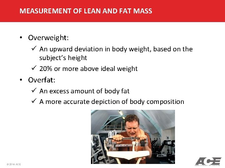 MEASUREMENT OF LEAN AND FAT MASS • Overweight: ü An upward deviation in body