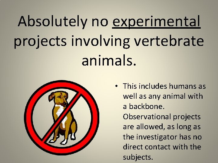 Absolutely no experimental projects involving vertebrate animals. • This includes humans as well as