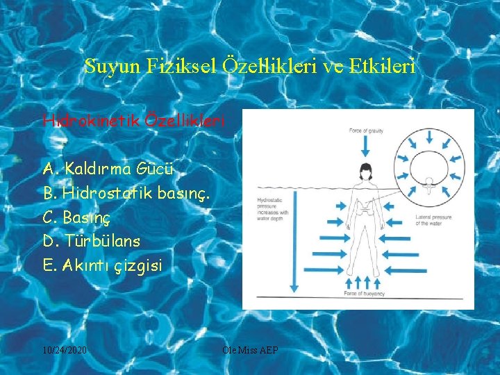 Suyun Fiziksel Özellikleri ve Etkileri Hidrokinetik Özellikleri A. Kaldırma Gücü B. Hidrostatik basınç. C.