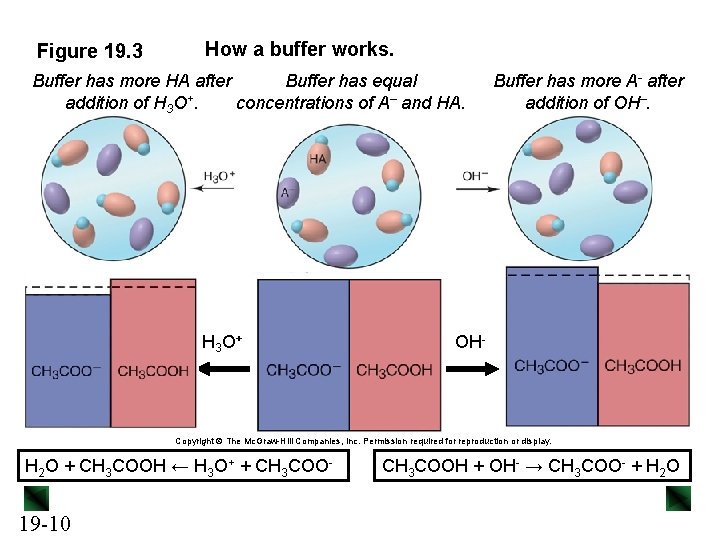 Figure 19. 3 How a buffer works. Buffer has more HA after Buffer has